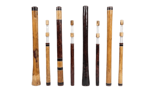 Premium Didgeridoo