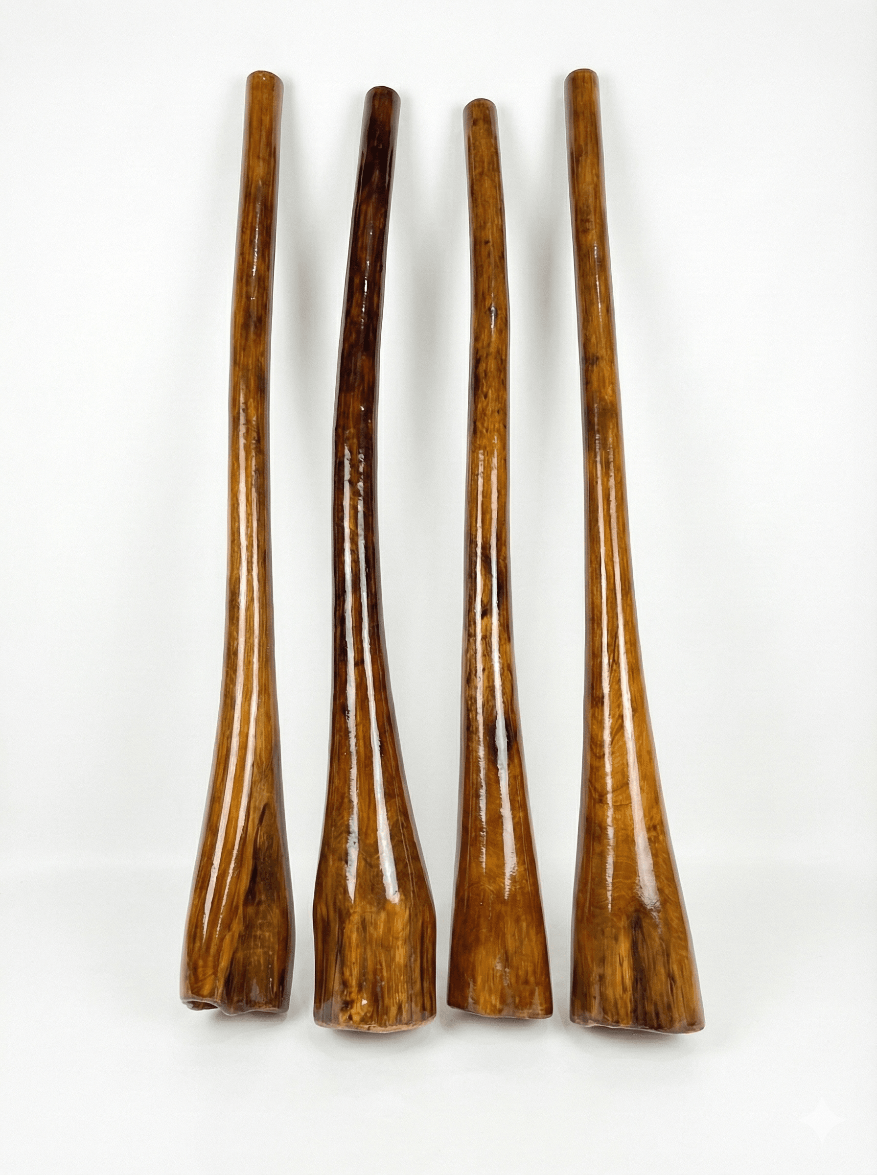 Nature Music Festival Didgeridoo